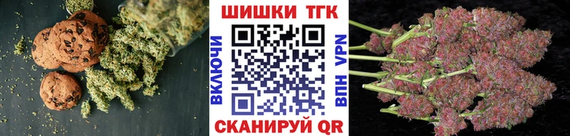 Купить где  Мещовск  Canna-Cookies конопля 