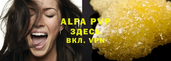 PSILOCYBIN Лагань