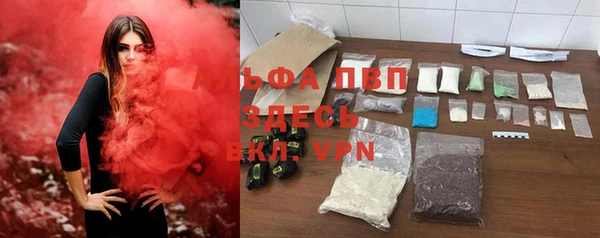 PSILOCYBIN Лагань